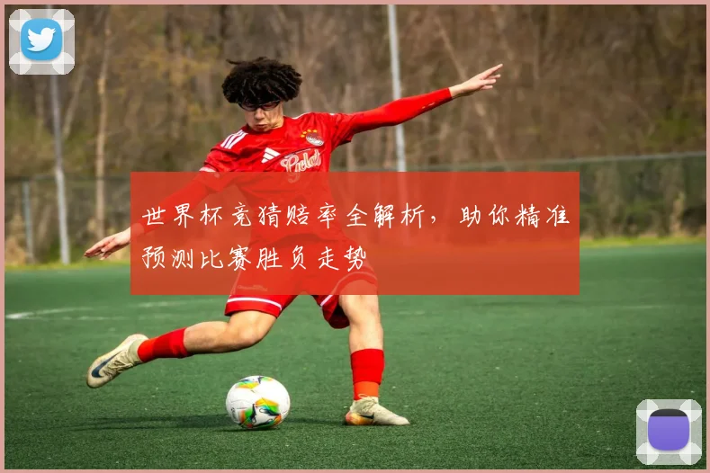 世界杯竞猜赔率全解析，助你精准预测比赛胜负走势