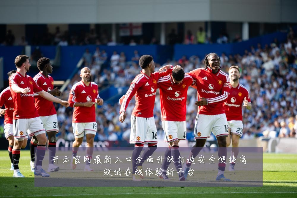 开云官网最新入口全面升级打造安全便捷高效的在线体验新平台