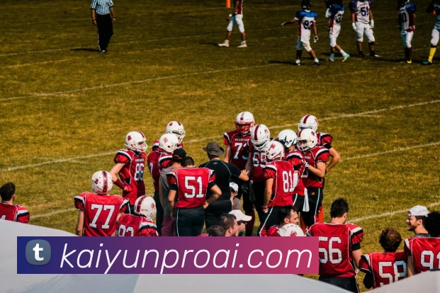 开云娱乐全站App